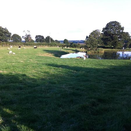 Crich Lane Farm Bed and Breakfast Alfreton Buitenkant foto