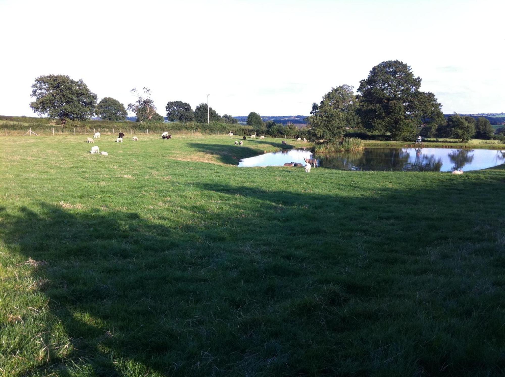 Crich Lane Farm Bed and Breakfast Alfreton Buitenkant foto
