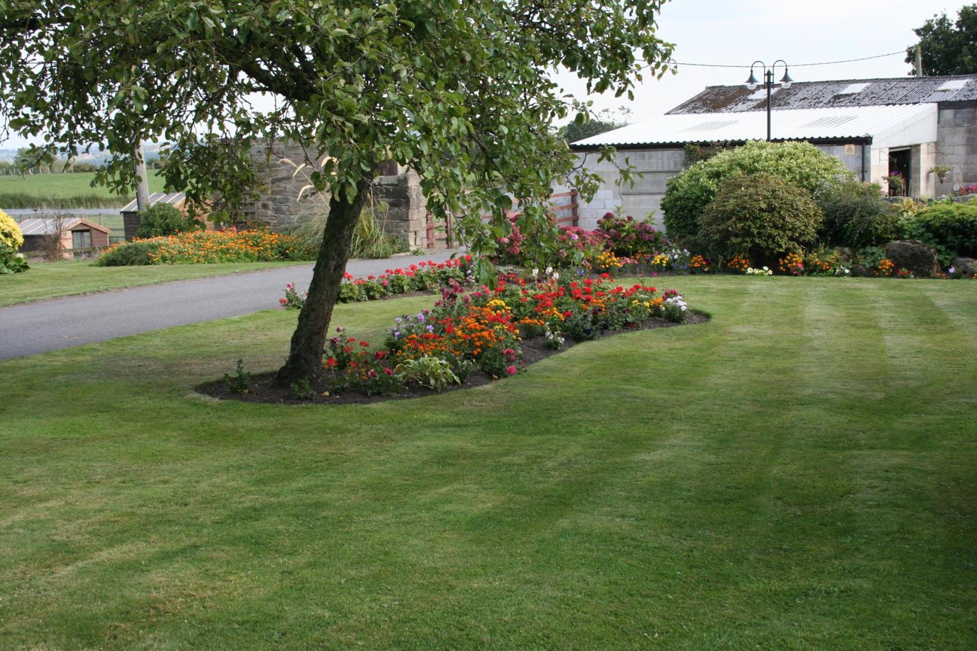 Crich Lane Farm Bed and Breakfast Alfreton Buitenkant foto